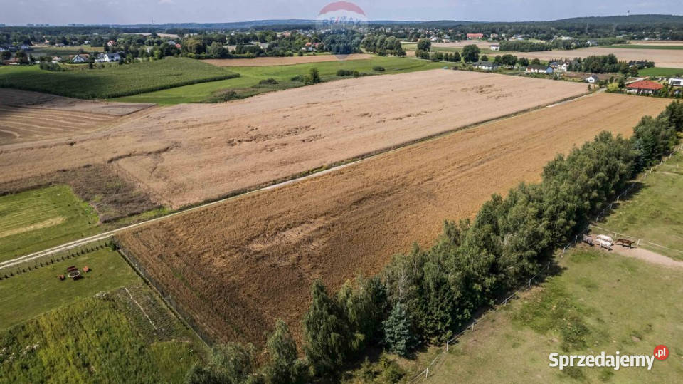 Kicin kPoznania3007 mKapitał rosnący w ciszy 60m wielkopolskie sprzedam