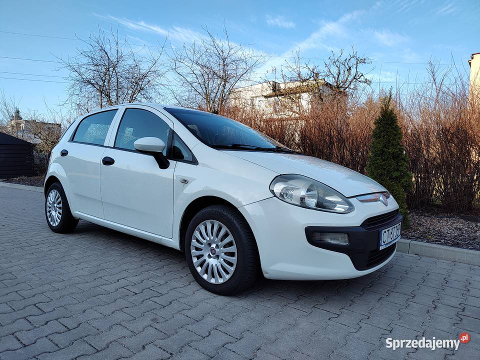 fiat punto Toruń