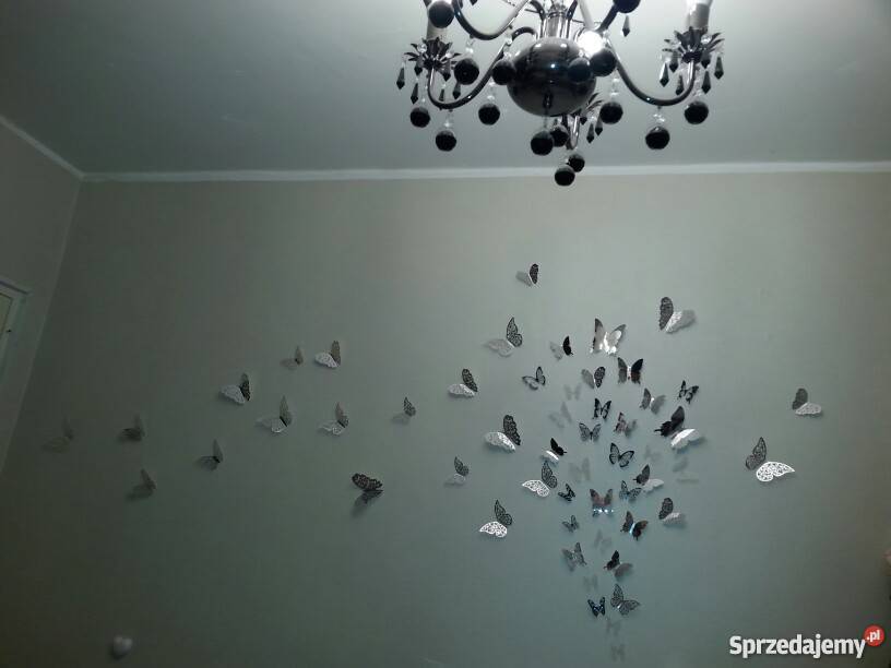 Motylki 3D naklejki dekoracja ślub motyle inny kolor Wrocław
