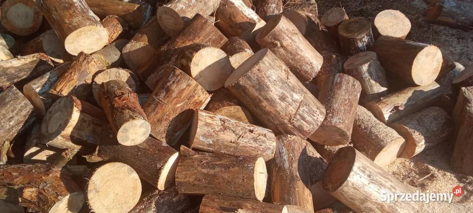 Drewno Opałowe Sosna pomorskie