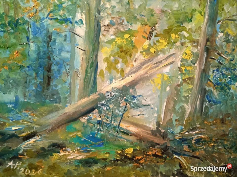 Obraz olejny Przedwiośnie w lesie Barlinek