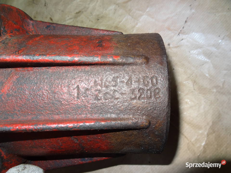 Piasta korpus pokrywa Rzeszów