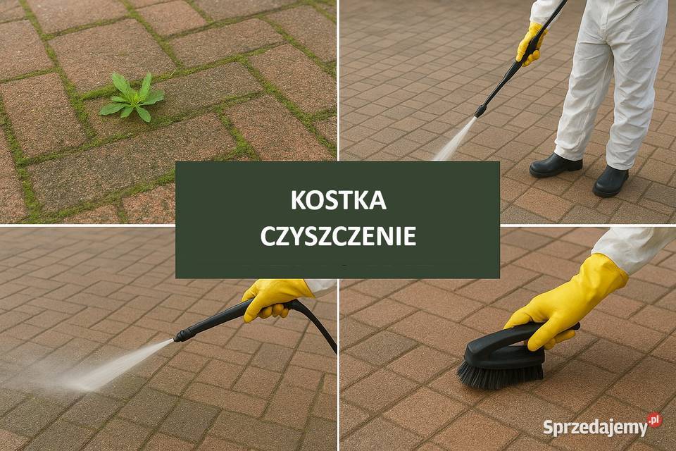 Odnawianie kostki brukowej usuwanie mchu zielska Pozostałe usługi Wrocław