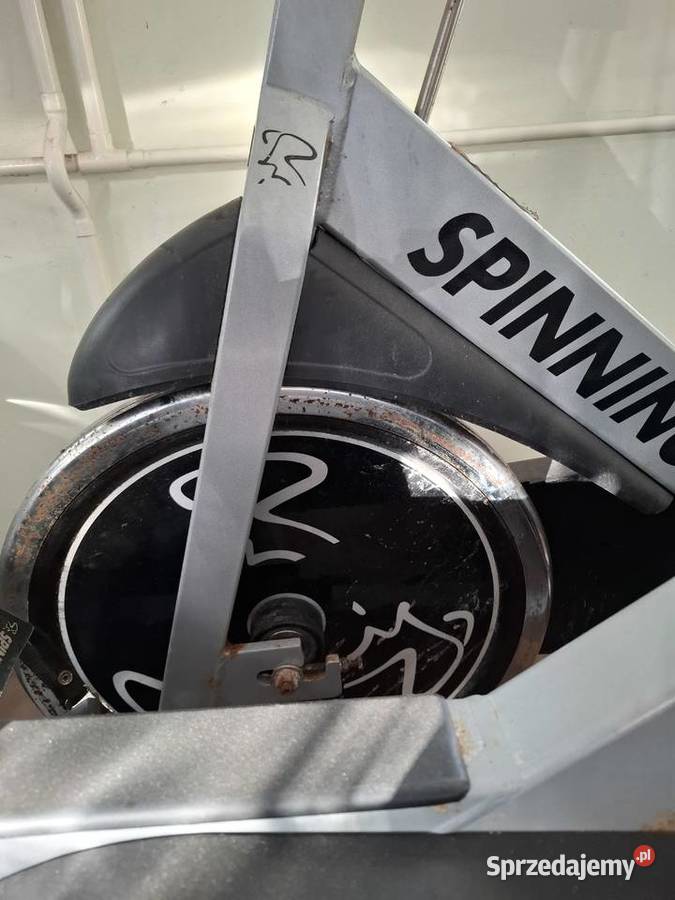 Rower spinningowy Star Trac Pro Wałcz