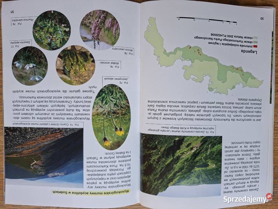 Torfowiska Karkonoszy Natura 2000 w Karkonoskim