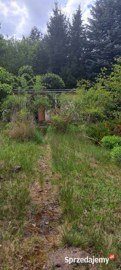 Sprzedam działkę rekreacyjną 390m2 Czubajowizna