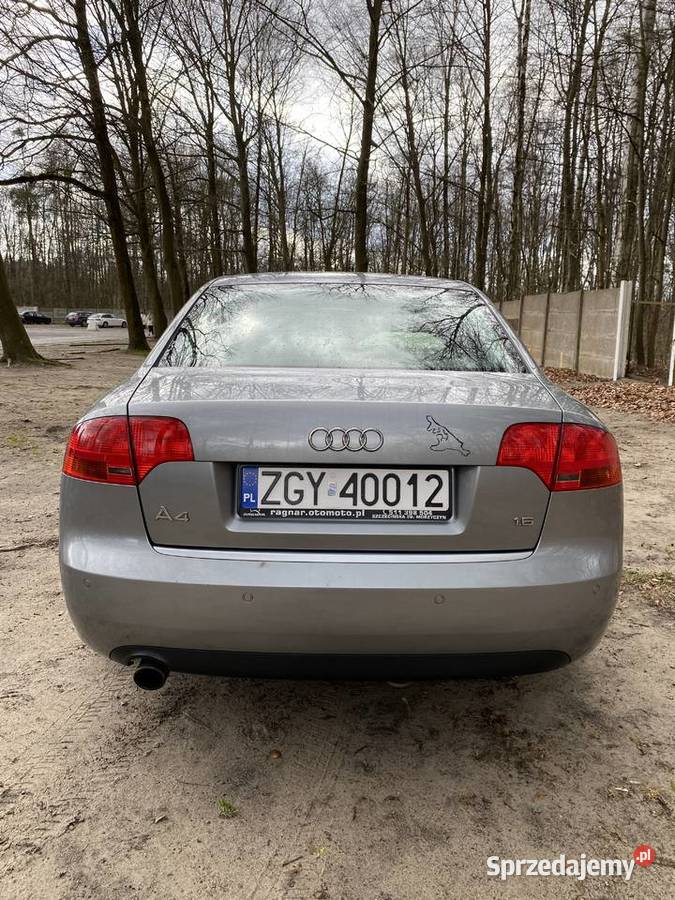 Audi A4 B7 Radziejów