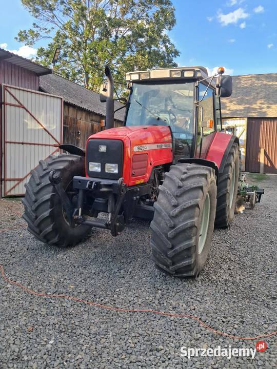 Massey Ferguson 6290 2000 Massey Ferguson Żółkiewka-Osada