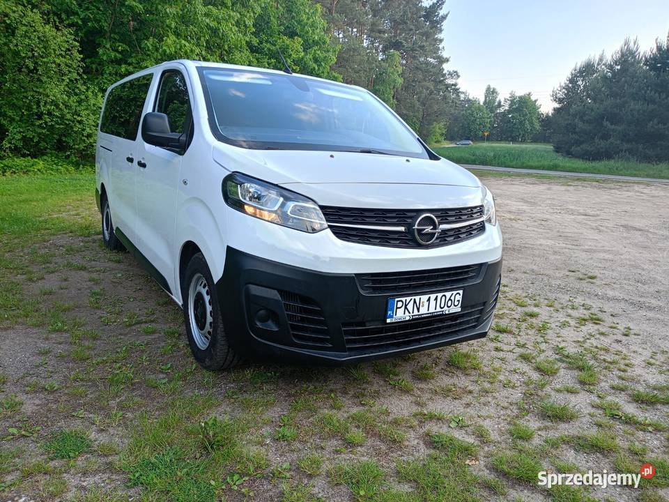 OPEL VIVVARO WERSJA LONG 9 OSÓB Głodno