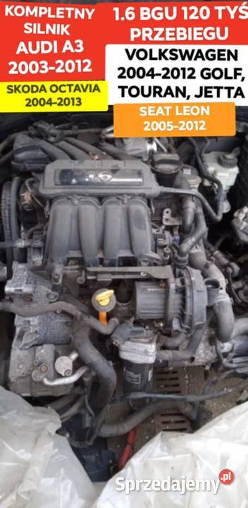 SILNIK 16 BGU 75 Kw GOLF CADDYTOURAN JETTA Sobolewo sprzedam