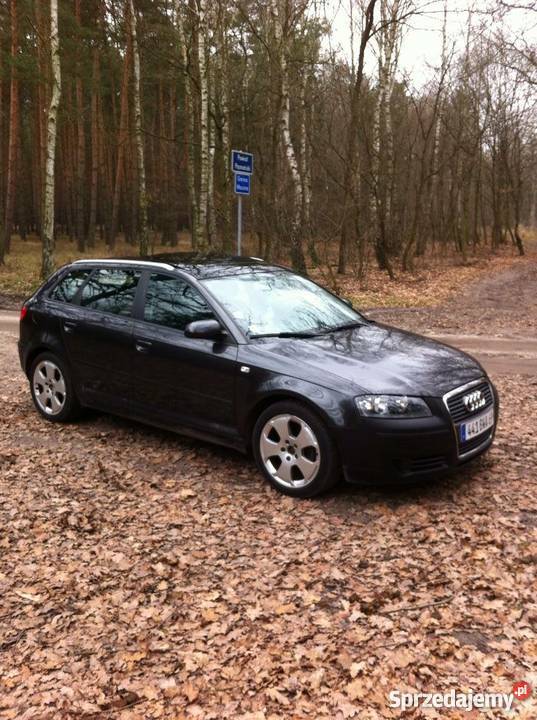 Audi A3 sporbeck szklany dach okazja wielkopolskie sprzedam