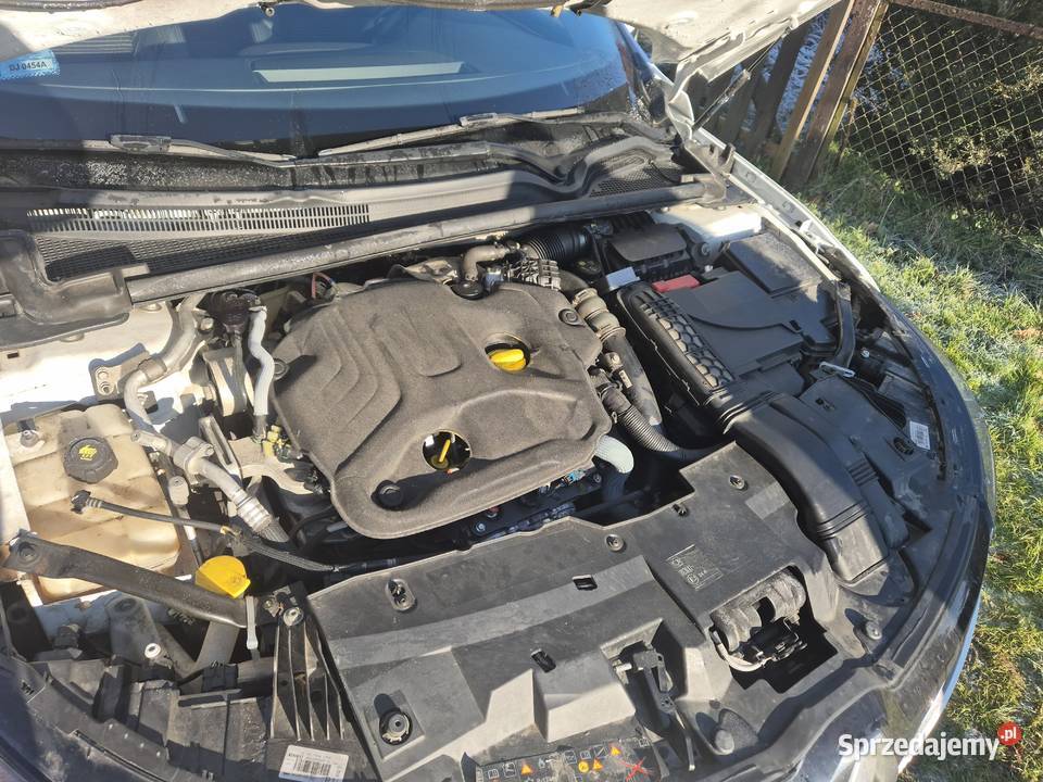 Renault Talisman 2019r 17dCi 150 diesel Renault Jelenia Góra