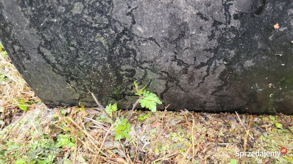 Drzwi Volkswagen Golf III kombi Drzwi