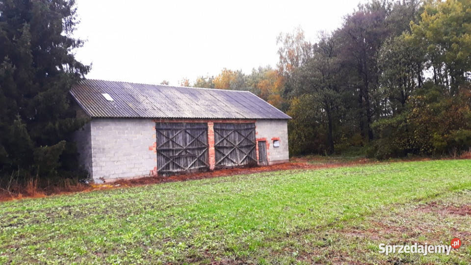 Działka siedliskowa z budynkiem 43zł/m2 Płońsk