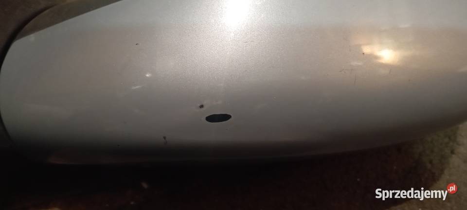 Sprzedam el lusterka renault laguna 2 osobowe Dęblin