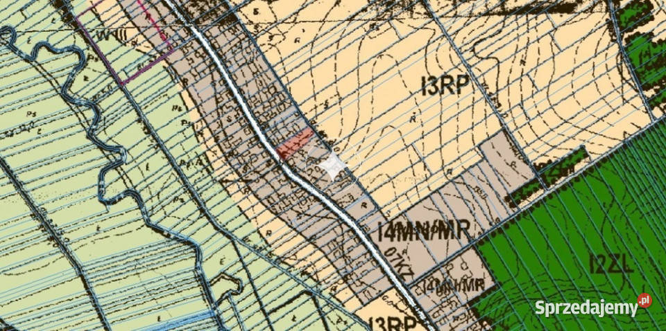 Działka Siedliskowa w Ruskowie 2791m2 37m Rusków