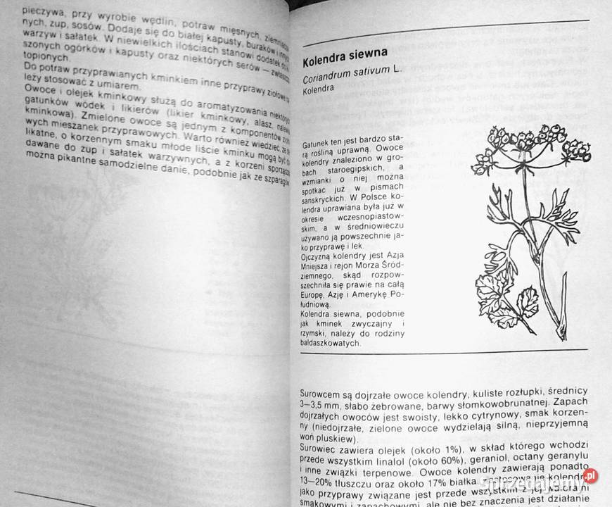 Ziołowe przyprawy kuchenne Zenon Węglarz