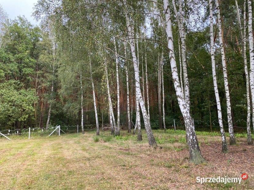 Wyjątkowa działka warunki zabw oazie mazowieckie