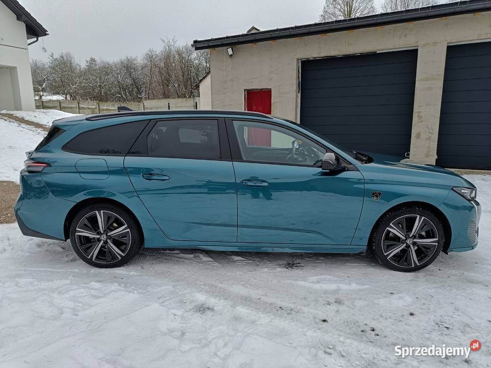 15 Salon 1 Właściciel Najbogatsza wyp Niski Gołaczewy sprzedam