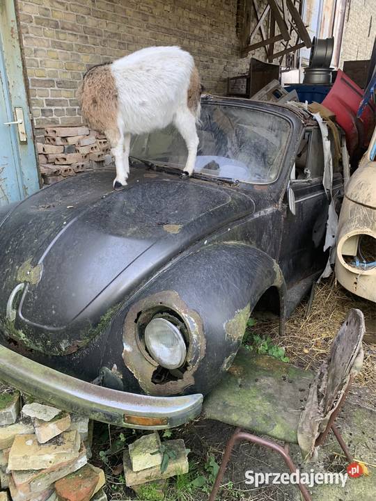 Sprzedam 4 sztuki VW Garbus 1302