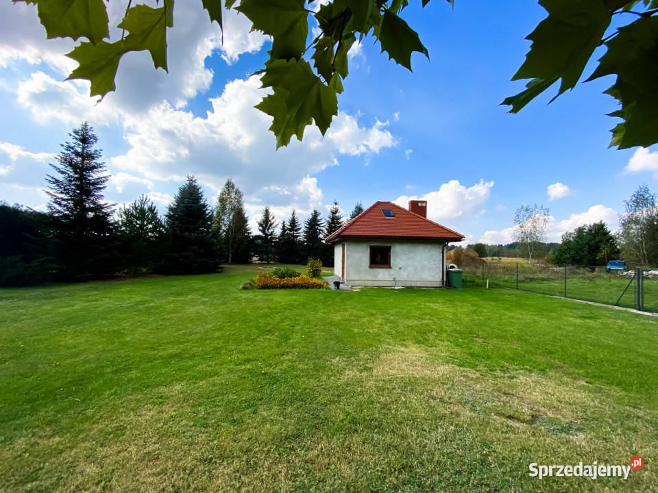Grunt na sprzedaż 1200m2 Łucka