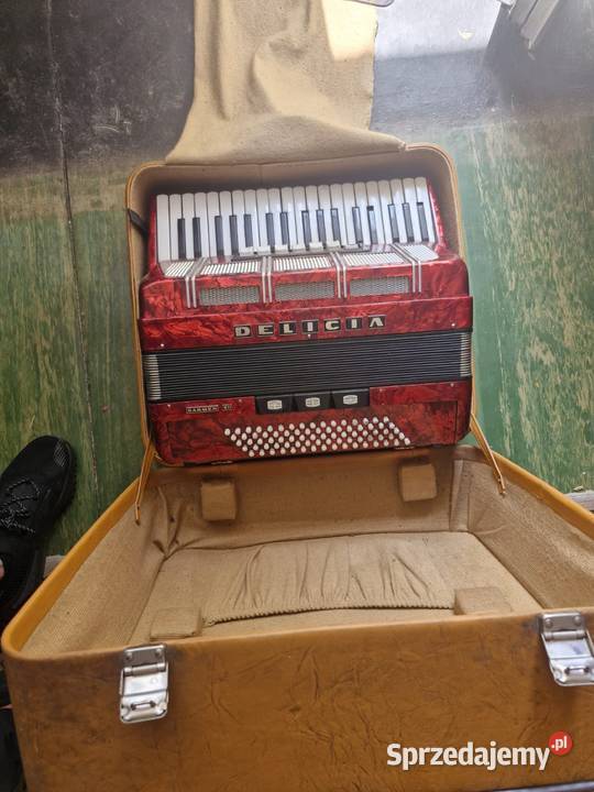 DELICIA CARMEN XII akordeon śląskie Bytom sprzedam