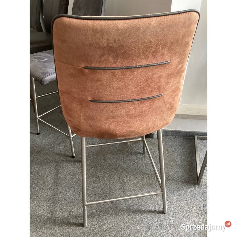 Hoker Maxim kolory Habufa Opole sprzedam