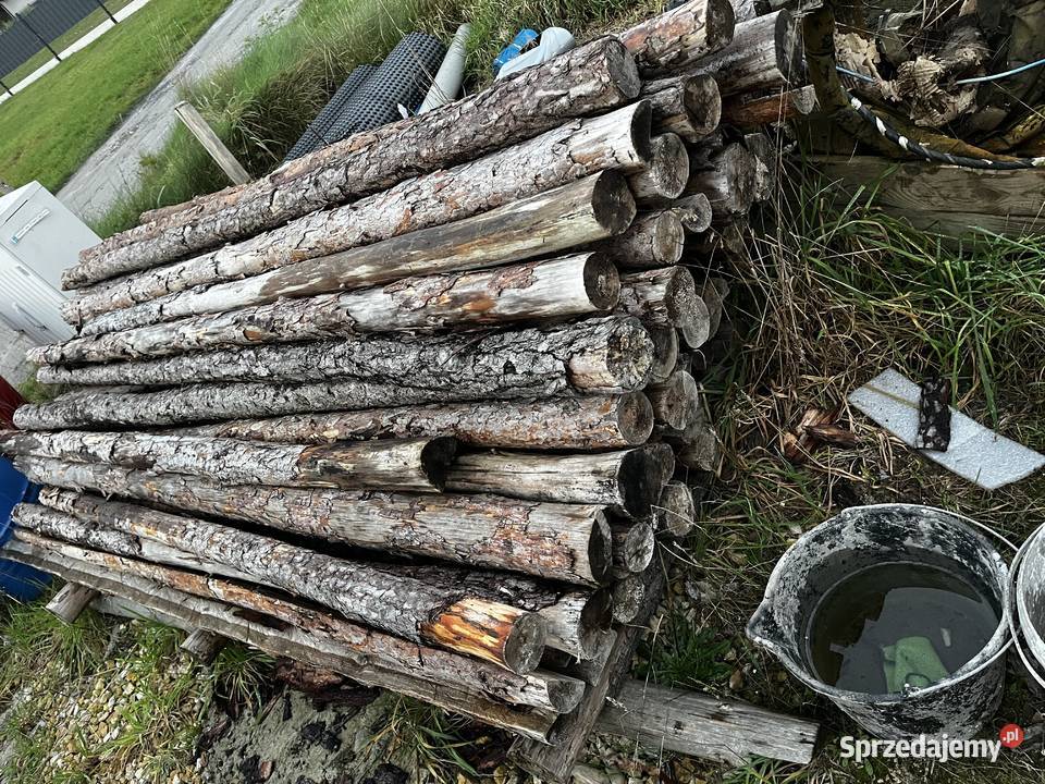 Stemple budowlane drewniane Pozostałe Miedźna