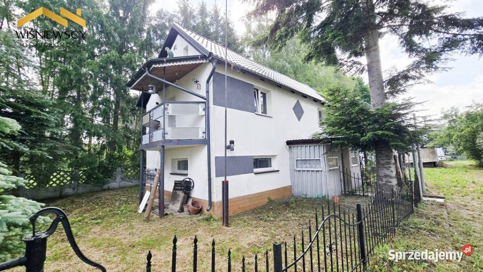 Siedlisko ze stawem w Wiśniewie Wiśniewo