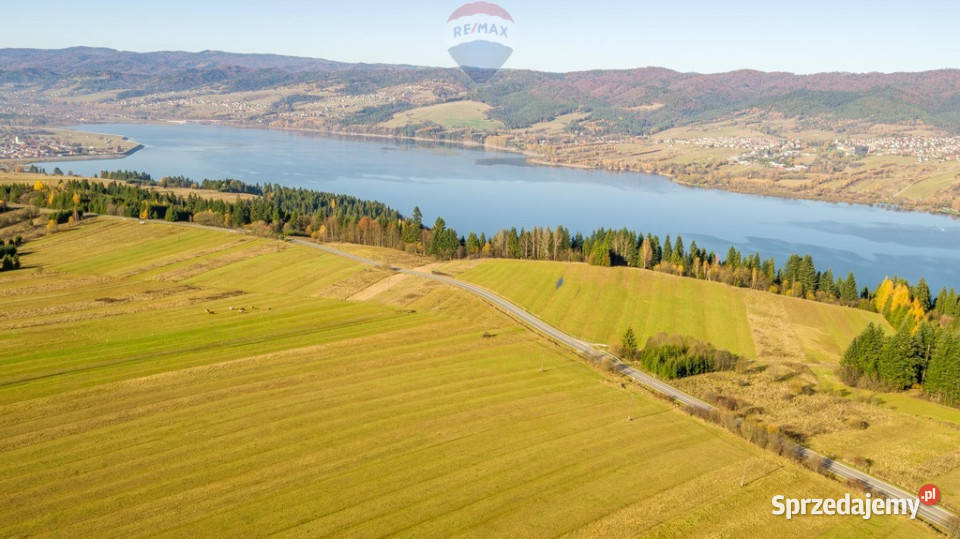 sprzedaży działki Frydman rolna