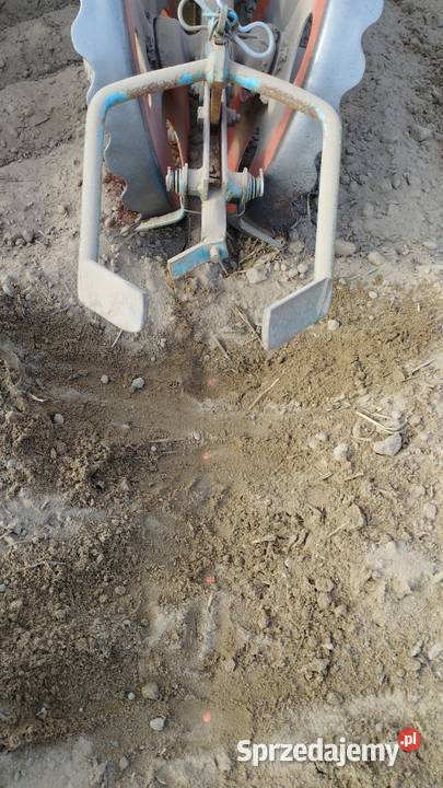 Siewnik do kukurydzy monosem pnu Siewniki i sadzarki Chełm