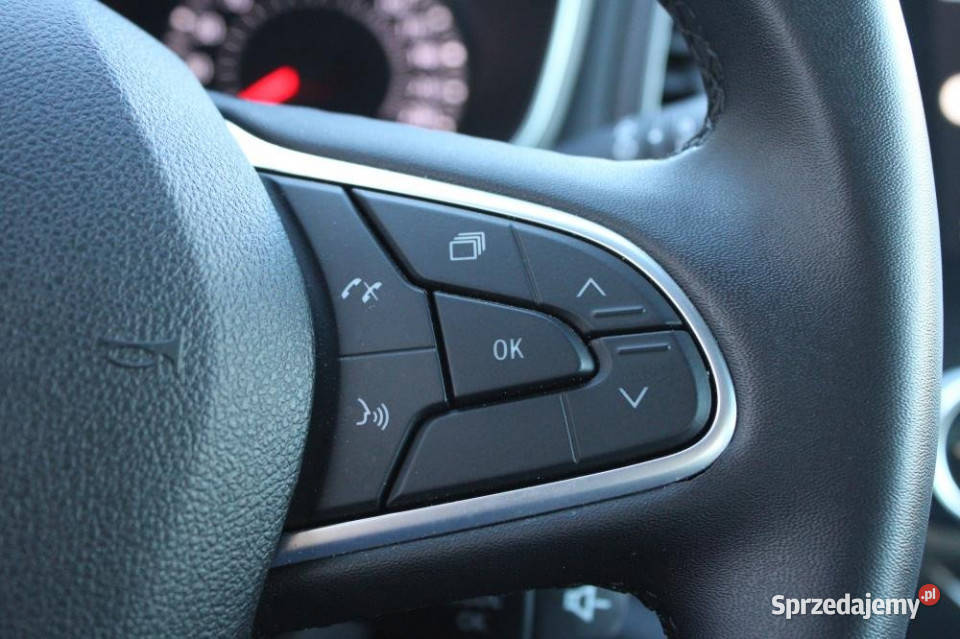Renault Megane 2022r Led Pure Vision CarPlay Gdańsk
