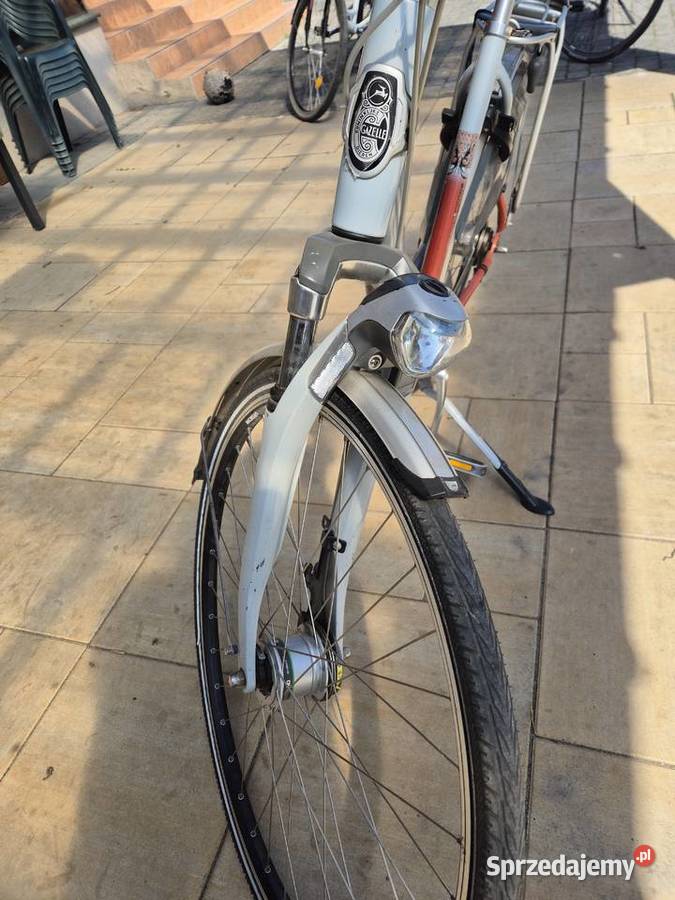 Rower Gazelle