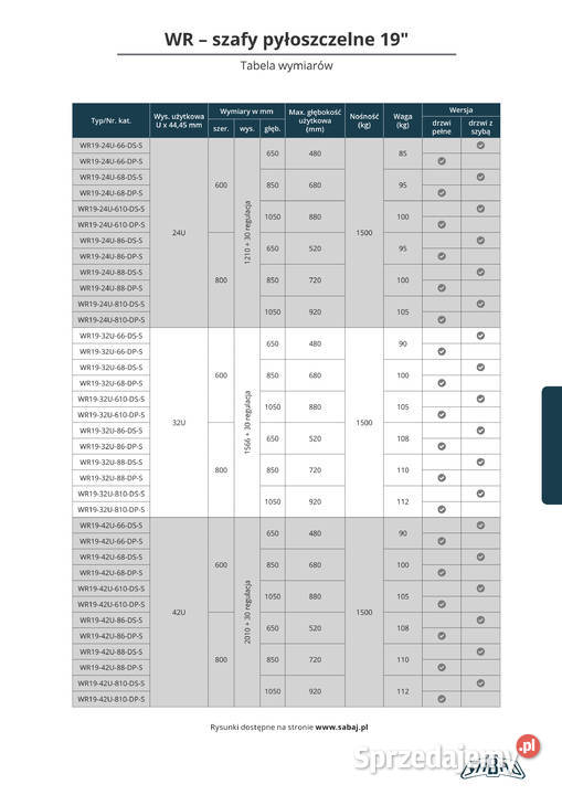 Szafa teleinformatyczna 19 24U42U Pyłoszczelna Internet i komunikacja Kraków