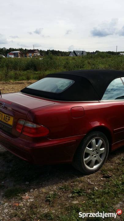 Clk 43 v8 anglik pilnee CLK Gowino