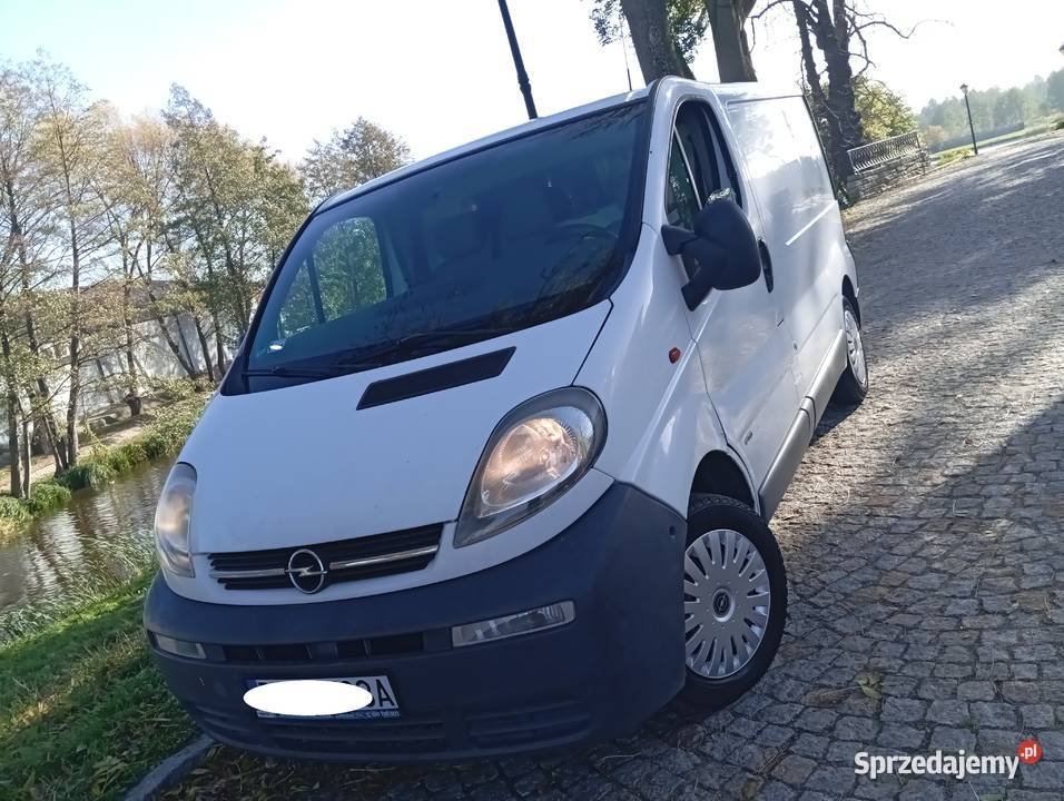 ŁADNE VIVARO 19 DIESEL HAK ZAREJESTR biały Gostynin
