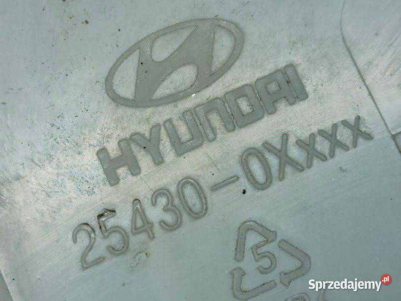 Zbiorniczek Wyrównawczy Hyundai i10 I 254300xxxx osobowe Pleszew