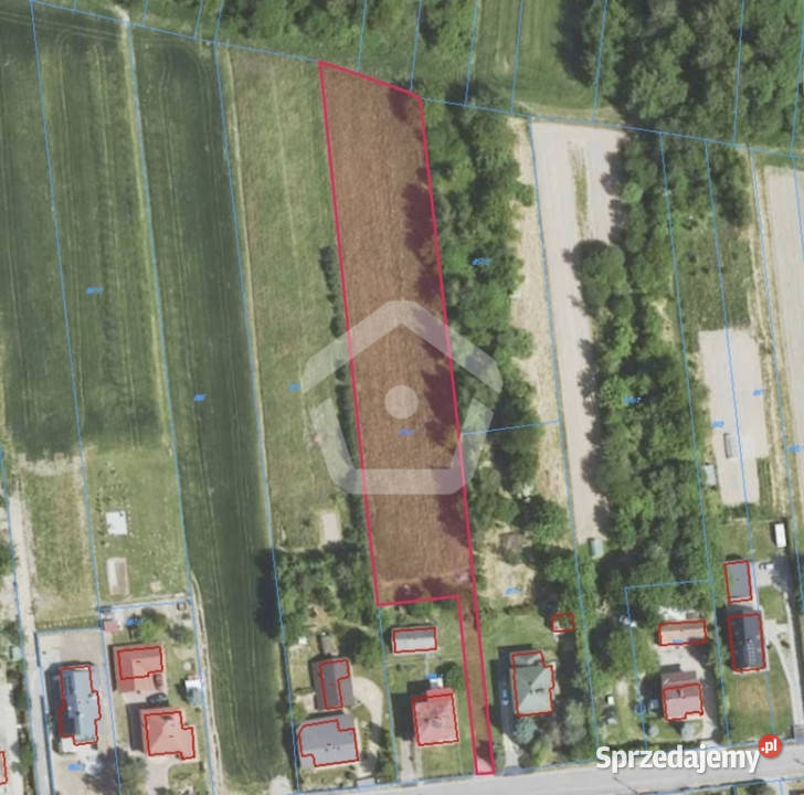 Działka budowlana 38 arów na sprzedaż Trzciana sprzedam