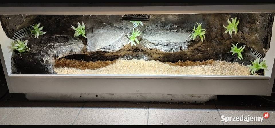 Terrarium hodowlane żółwia greckiego gekona Mińsk Mazowiecki