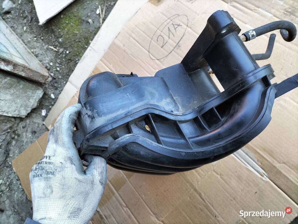 KIA CEED KOLEKTOR SSĄCY Kamień-Kolonia