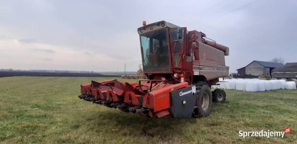 Case 1440 Hrubieszów sprzedam