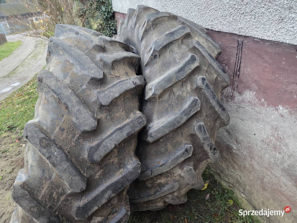 Opony pomorskie Wiele