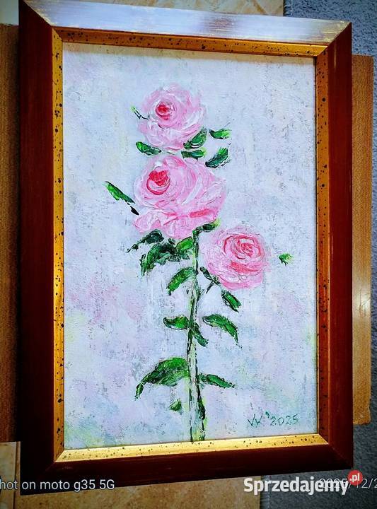 Różowe róże Bychawka Trzecia