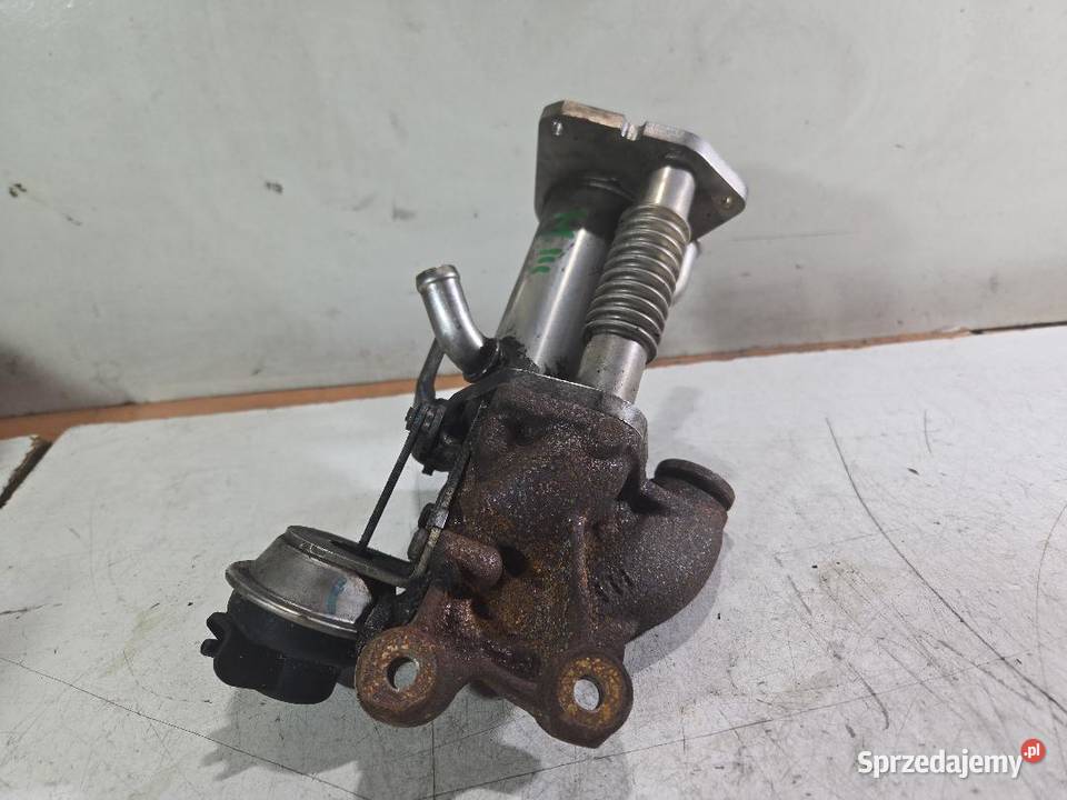 CHŁODNICZKA EGR RENAULT MEGANE III 15 DCI sprzedam