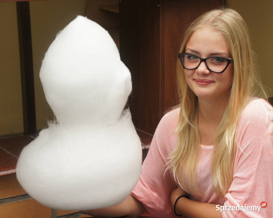 Maszyna do waty cukrowej Części Wata cukrowa Bydgoszcz