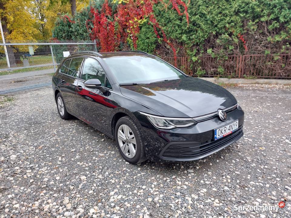 Volkswagem Golf VIII 20 TDI Krapkowice