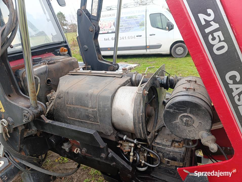 Caiagni sadowniczy Potkanna