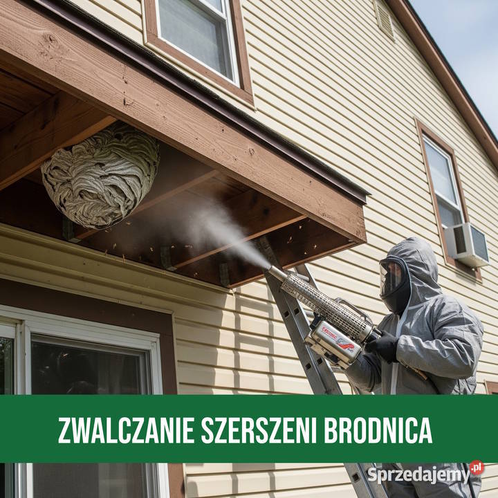 Zwalczanie Szerszeni Brodnica Usuwanie Gniazd