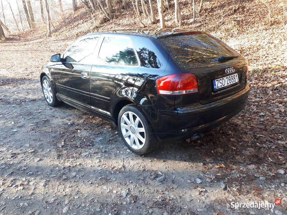 Sprzedam audi a3 19 tdi stan idealny nieuszkodzony zachodniopomorskie Świdwin