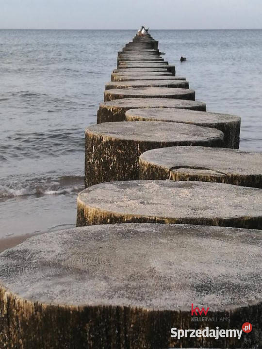 Mieszkanie 6682m2 2pokojowe Poznań Bednarska Piętro 1